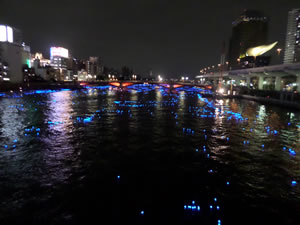 Hotaru Festival